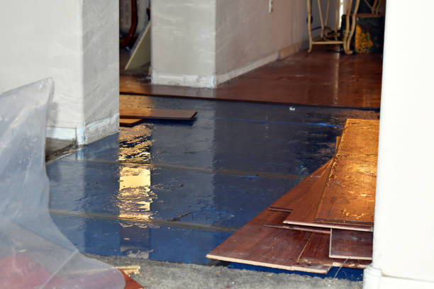 Professional Basement Flood Cleanup technician working in Astoria, NY